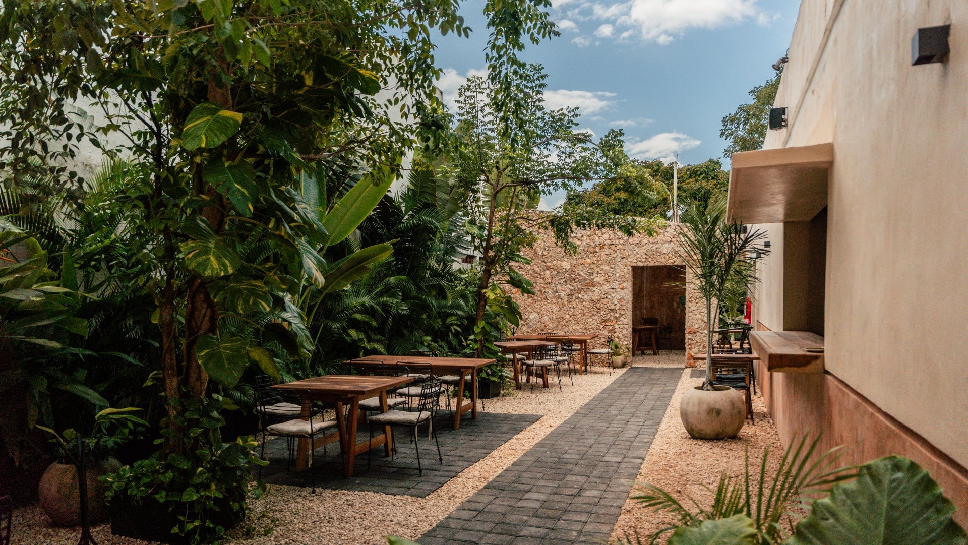 ¿Planning a Trip to Valladolid? These Are the Best Restaurants You Need to Visit