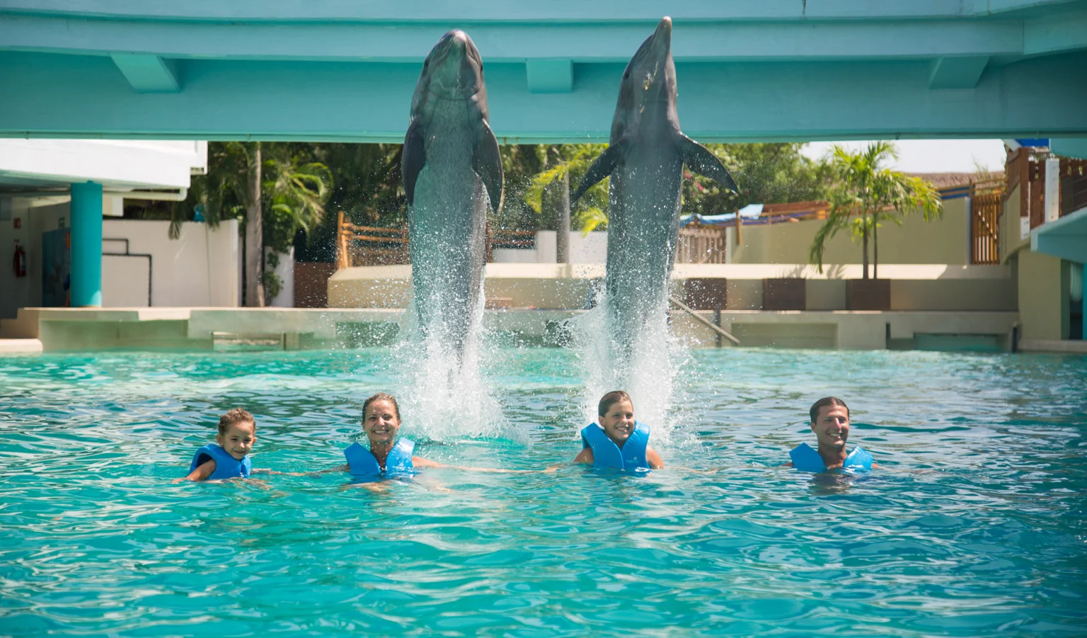 Swimming with Dolphins in Cancun-Everything You Need to Know